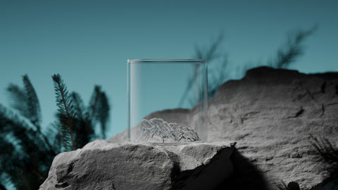 Lake Louise Tumbler