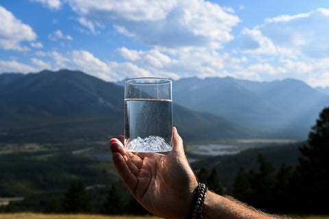 Lake Louise Pint